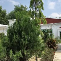 104756060_1413268548860218_3579417020037302485_n