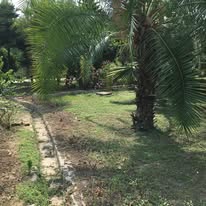 106488969_1413268545526885_2812053818638868955_n